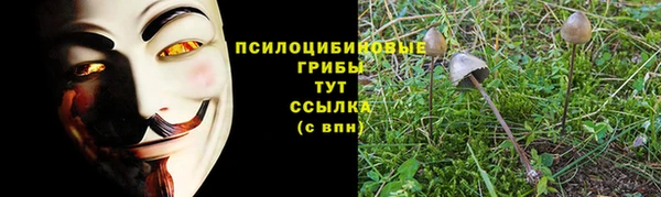 метадон Тихвин