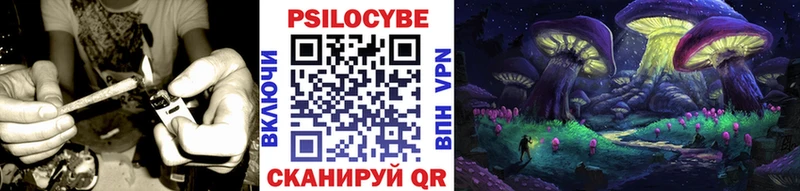 Псилоцибиновые грибы Psilocybe  Большой Камень 