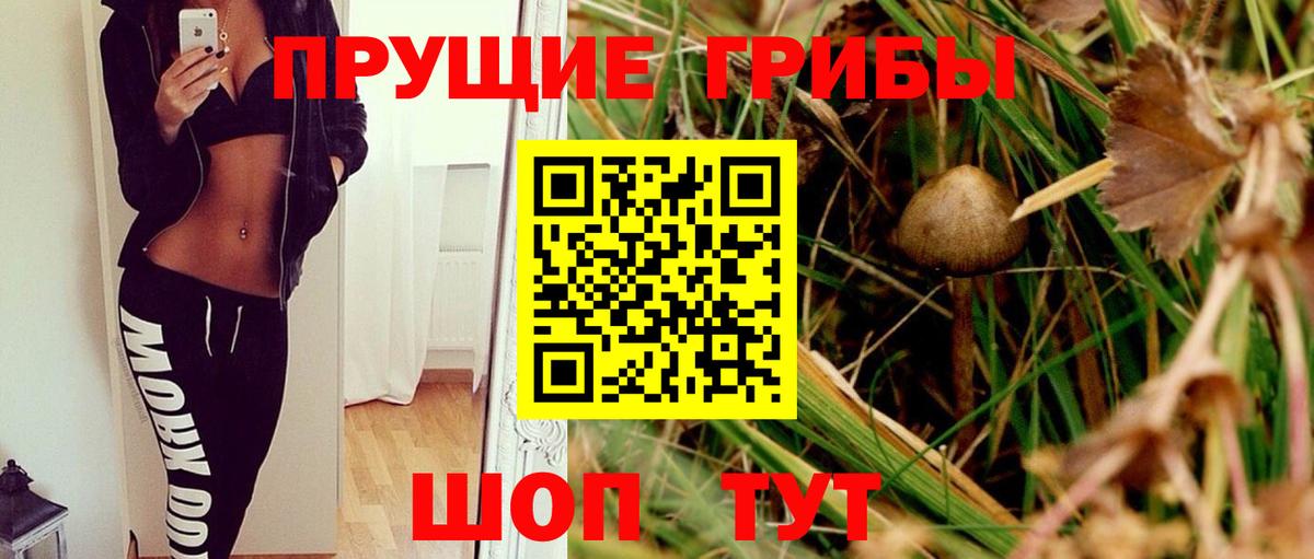 Псилоцибиновые грибы ЛСД Большой Камень