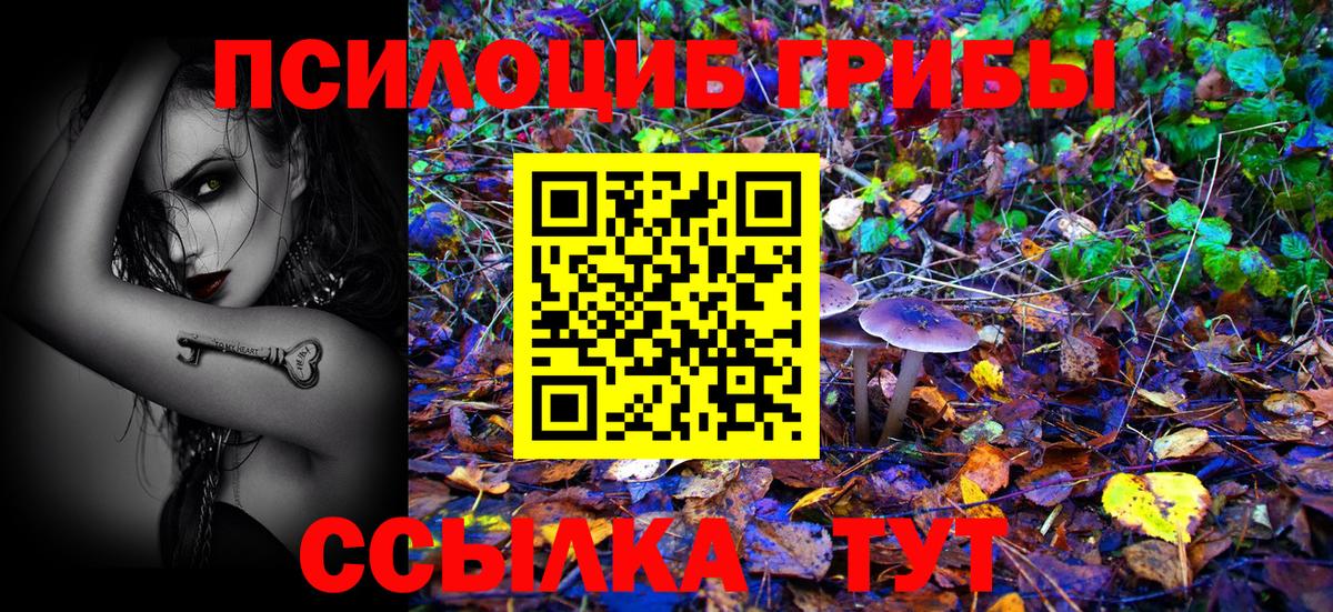 что такое наркотик  Большой Камень  Галлюциногенные грибы мицелий 