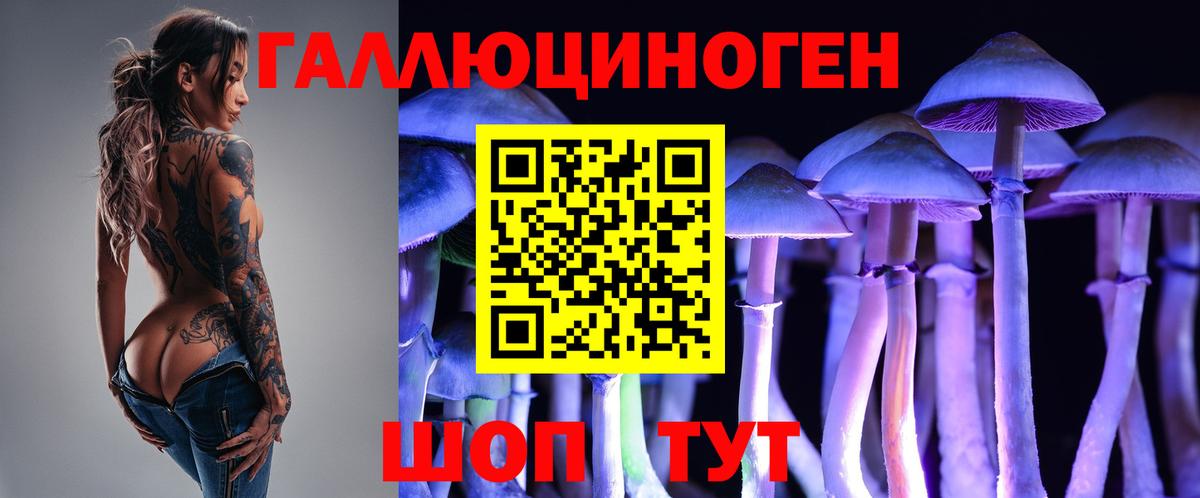 Псилоцибиновые грибы Psilocybine cubensis  Вход с VPN  Большой Камень 